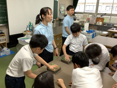 Hp用２