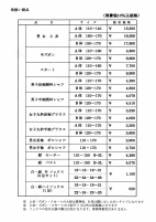 フヂイテーラー.pdfの2ページ目のサムネイル