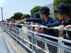 水族館の外で