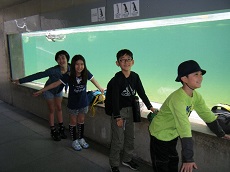 水族館の中