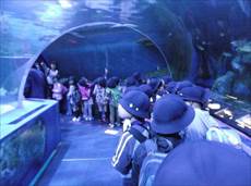 水族館